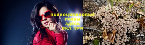 Альфа ПВП Богородск